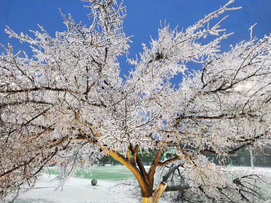 初雪長春|浪漫冬季
